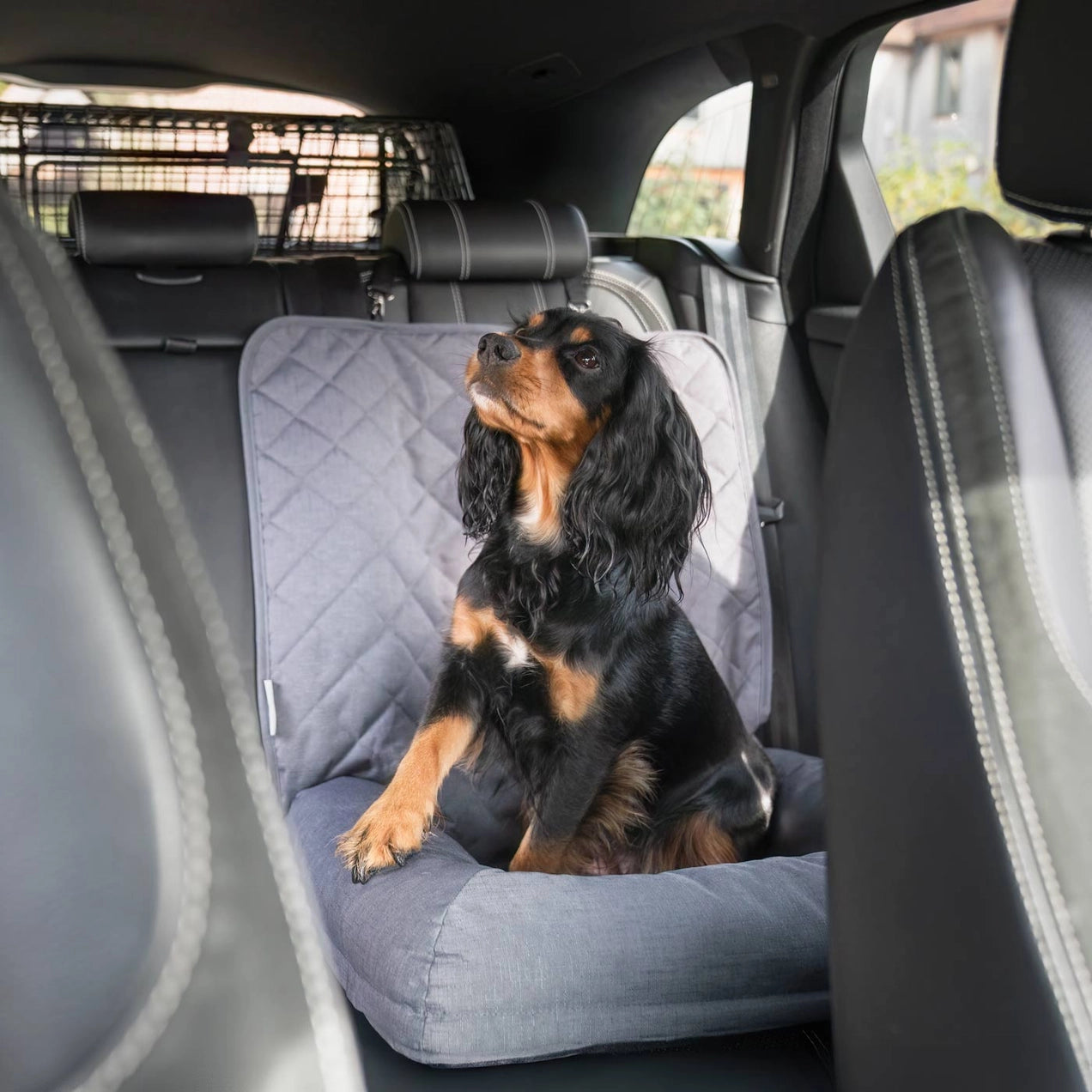 Travel Seat Snoozewe - Bilsete