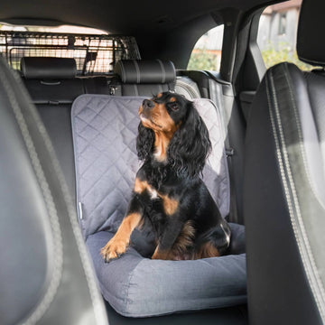 Travel Seat Snoozewe - Bilsete