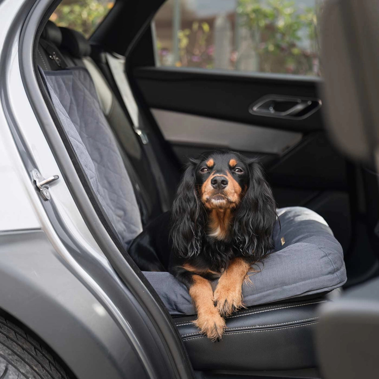 Travel Seat Snoozewe - Bilsete
