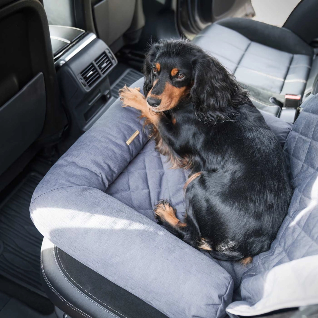 Travel Seat Snoozewe - Bilsete