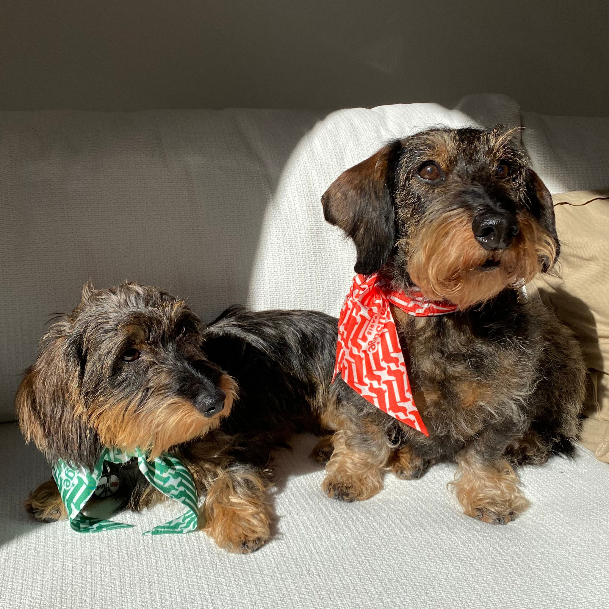 Sausage Paris – "Marcel" Twilly i 100 % silke