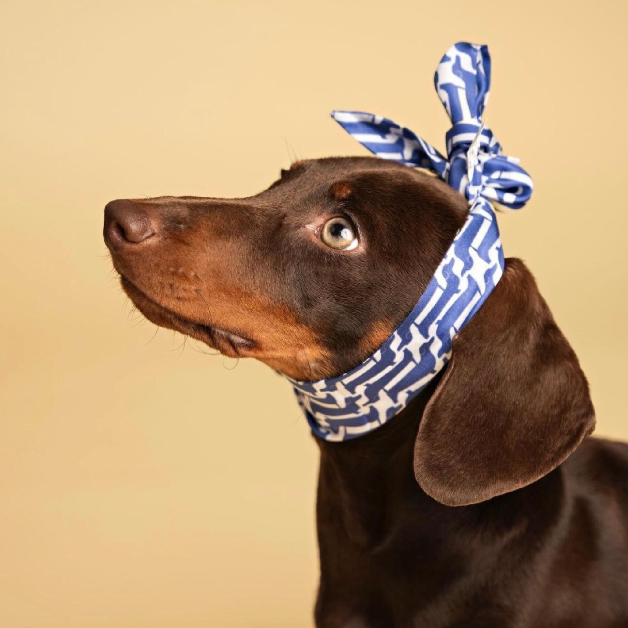 Sausage Paris – "Marcel" Twilly i 100 % silke
