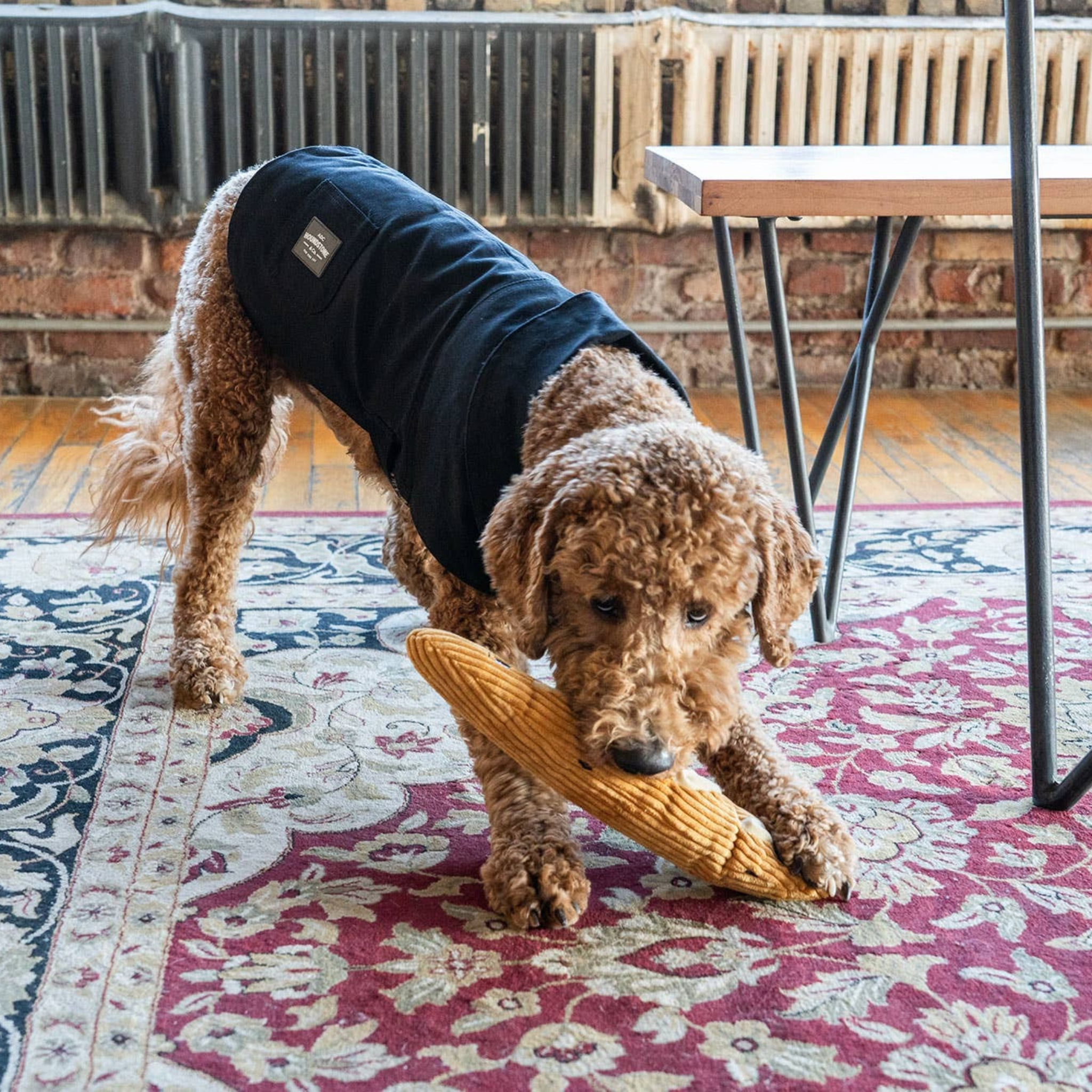 Waxed Canvas Dog Jacket Tan - Vokset canvas hundejakke