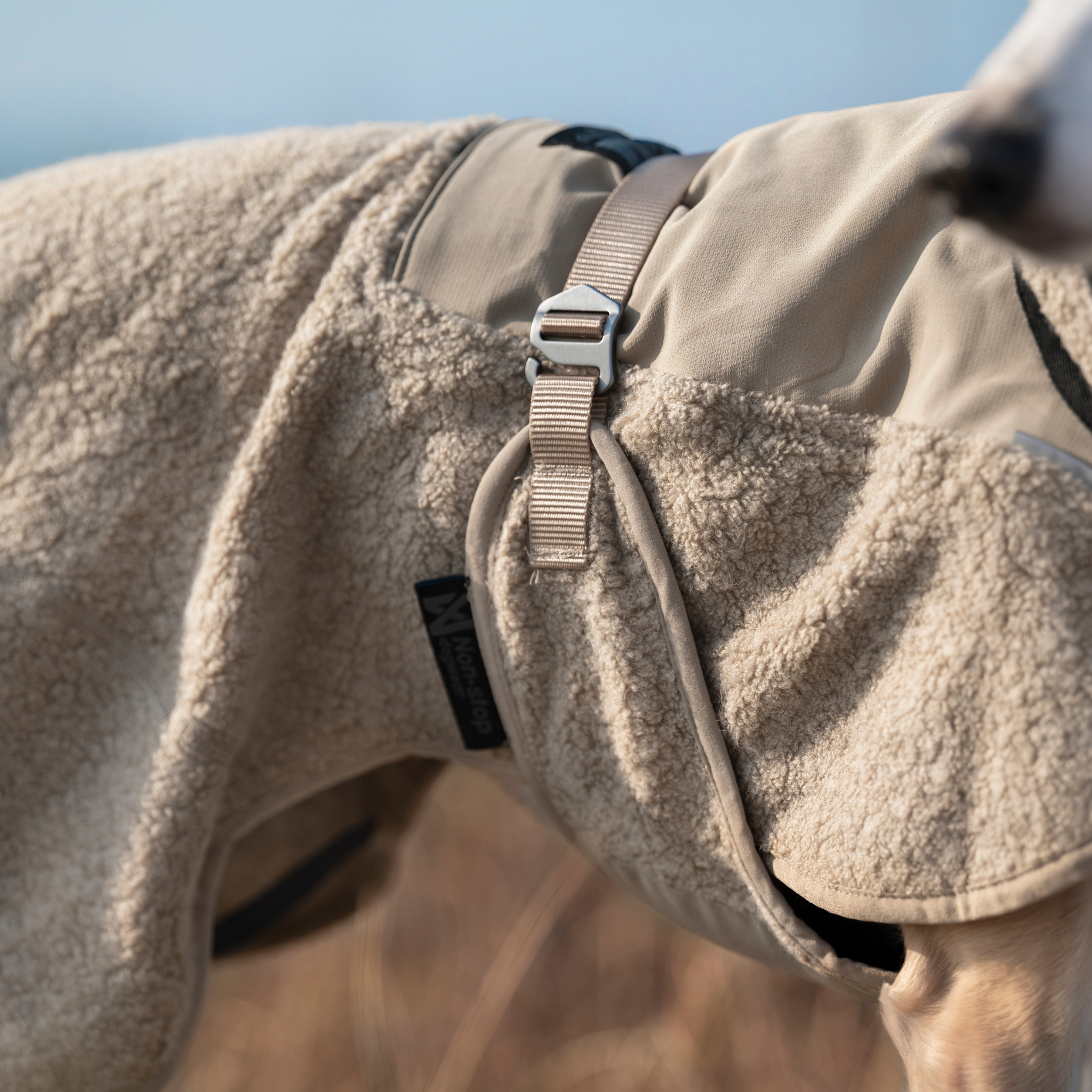 Wool Dog Jacket - Klassisk ulldekken | Beige