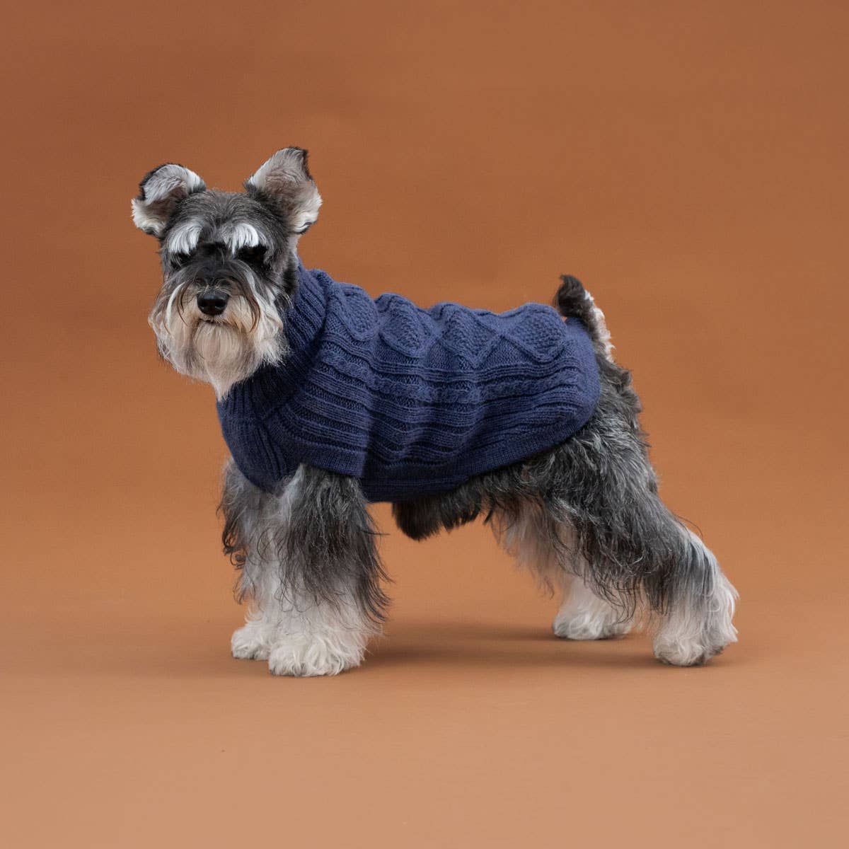 Royal Blue Aran Alpaca Dog Sweater