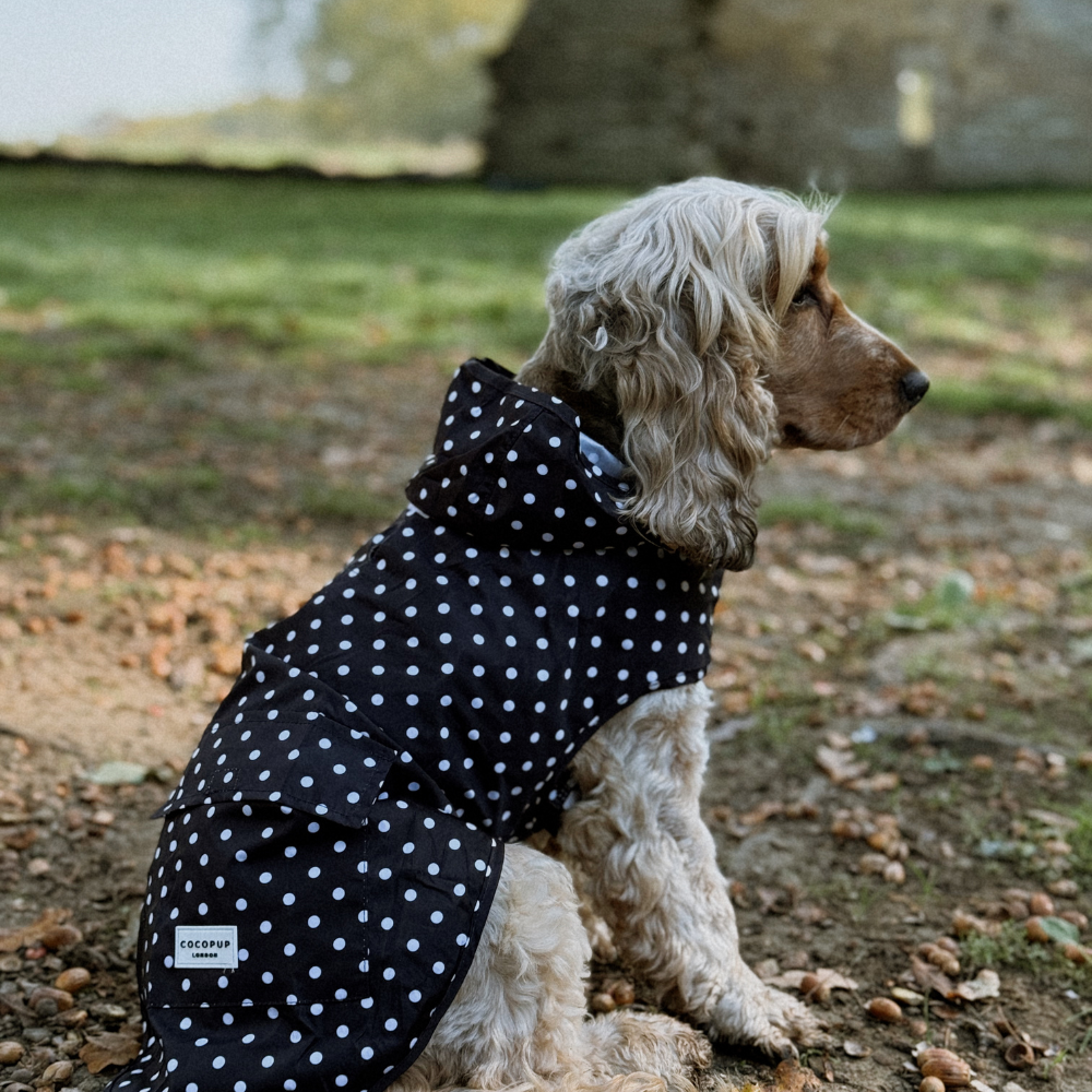 Black Polka Dot - Regnjakke til hund