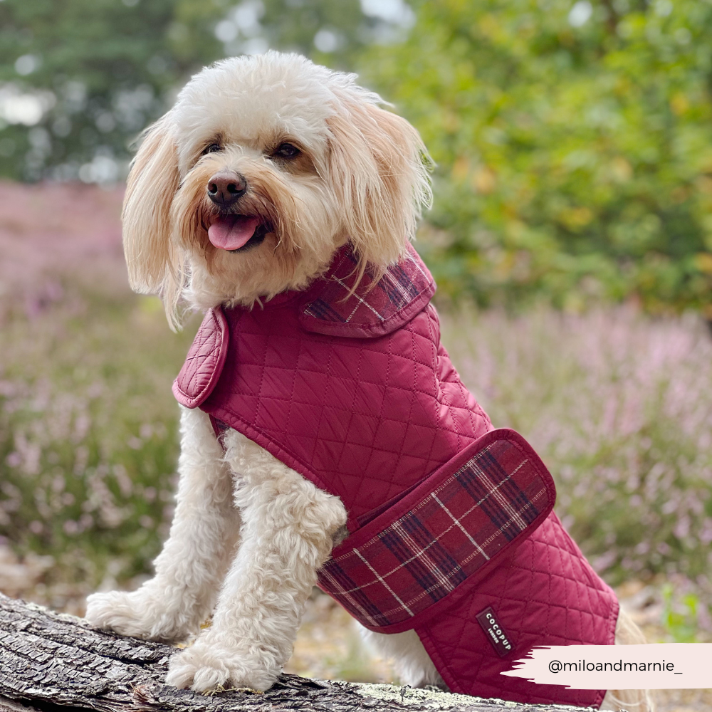 Luxe Quilted Mulberry Plaid - Vattert hundejakke