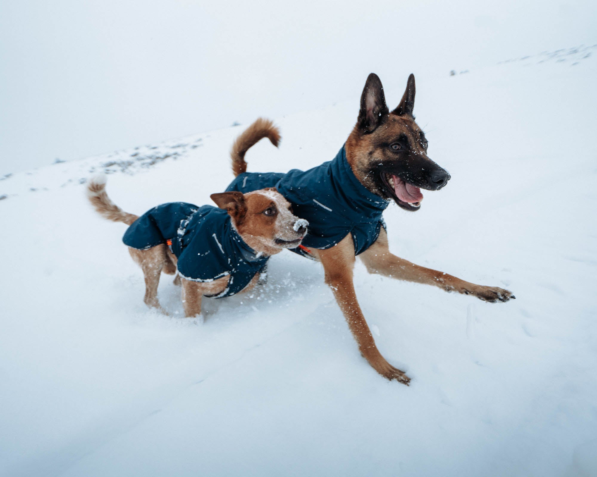 Glacier Wool Jacket 2.0 - Allsidig vinterdekken m/Ulvang, Marine Blå