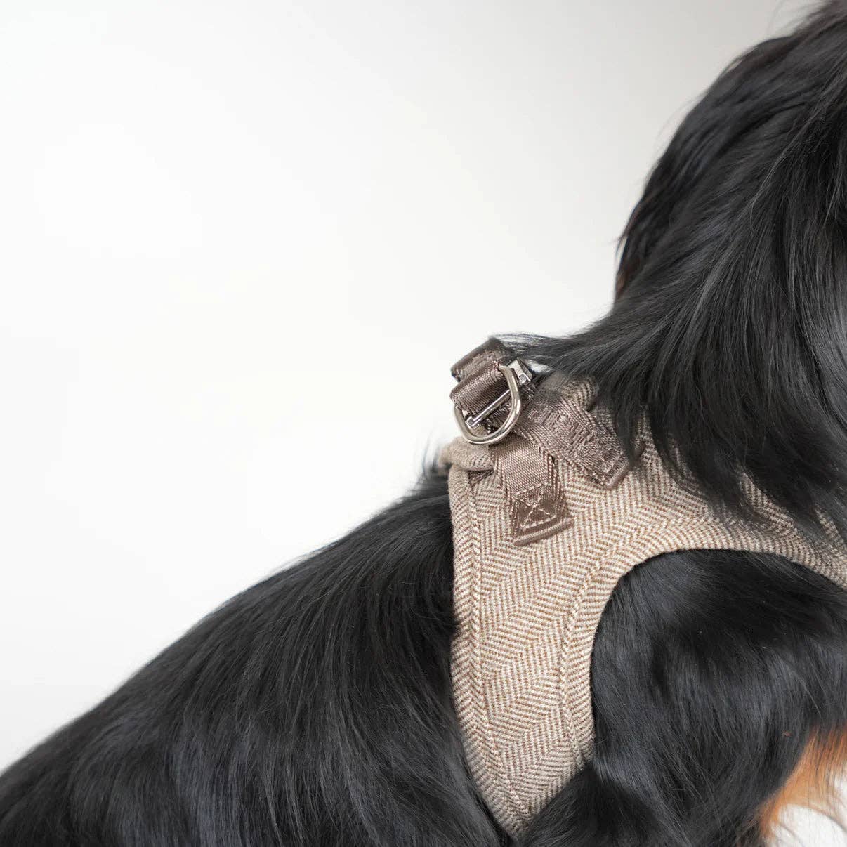 Saga - Step-in Hundesele | Mocca