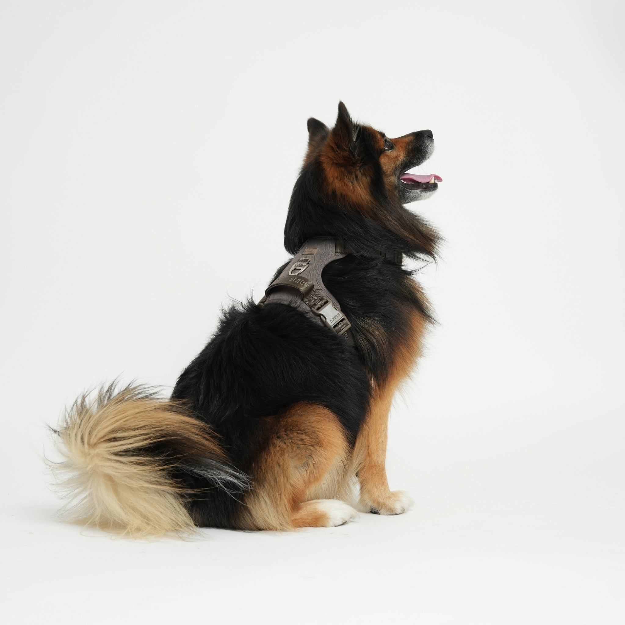 Elma Active - Hundesele | Taupe