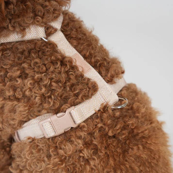 Tara H-Strap - Hundesele | Light pink