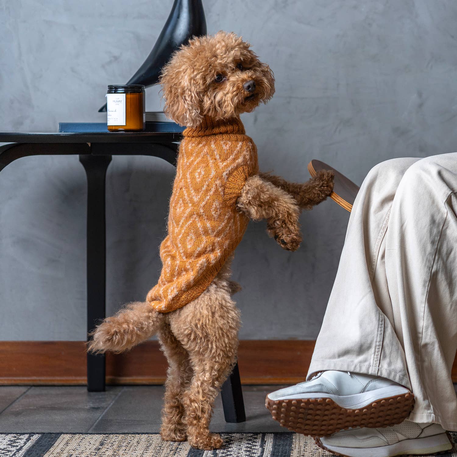 Golden Ochre – Alpaca Hundegenser