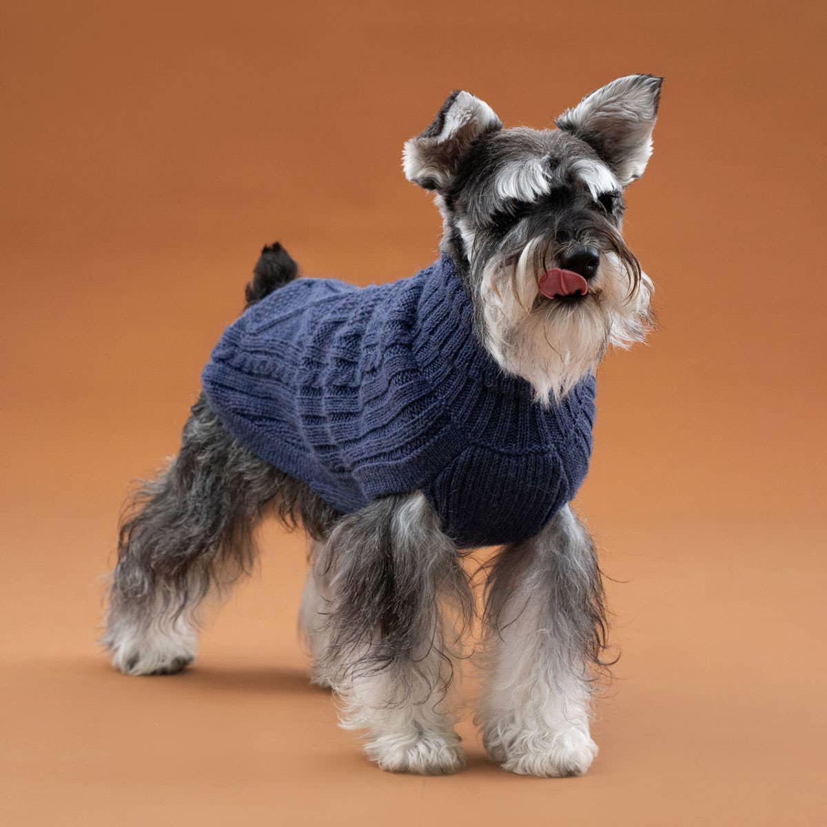 Royal Blue Aran Alpaca Dog Sweater