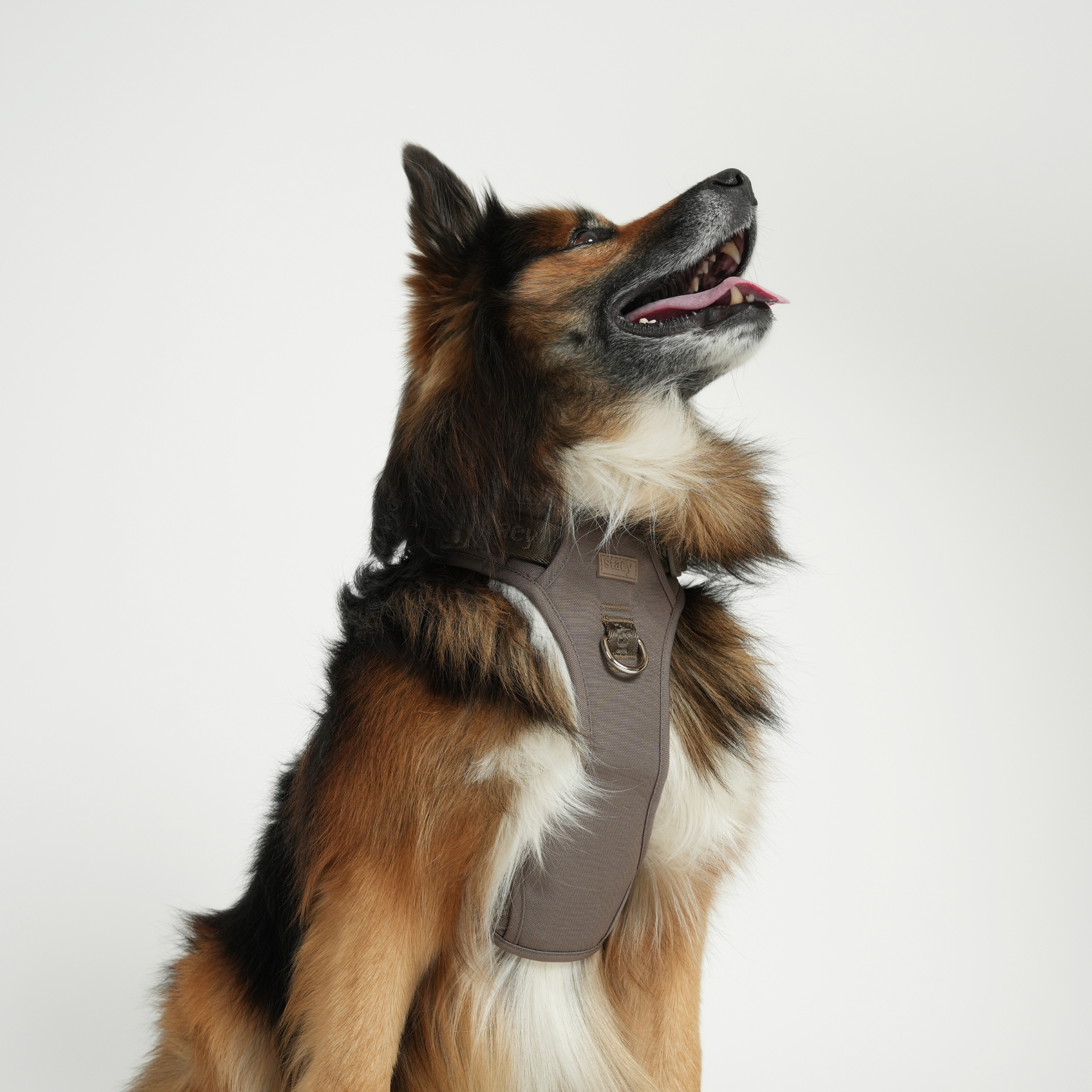 Elma Active - Hundesele | Taupe
