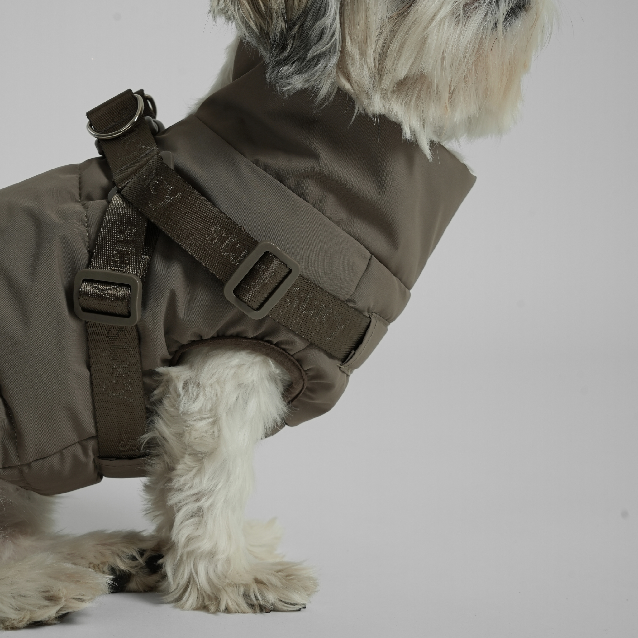 Vera - Hundejakke med integrert sele | Sage