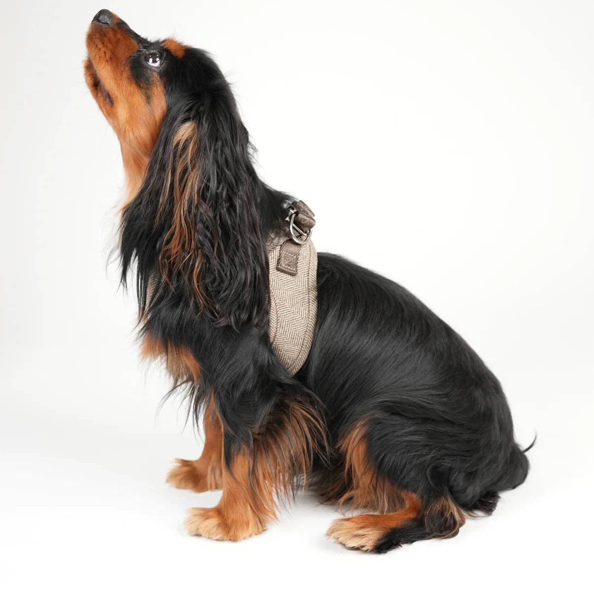 Saga - Step-in Hundesele | Mocca