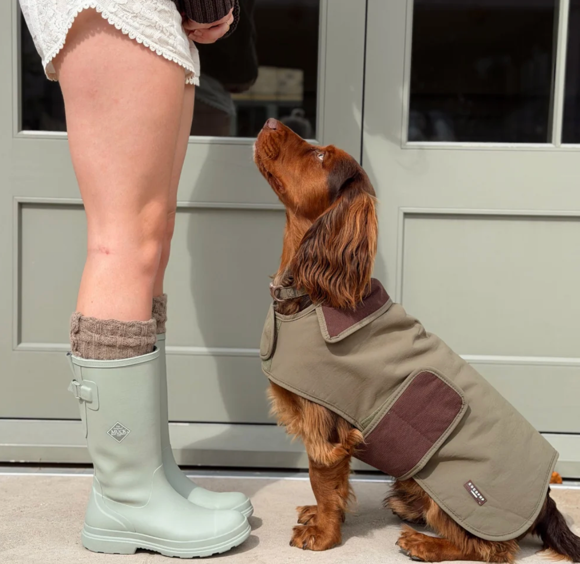 Farmhouse Moss Green - Hundejakke