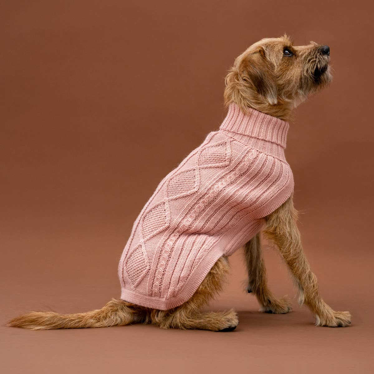Blush Pink Aran - Alpakka ullgenser til hund