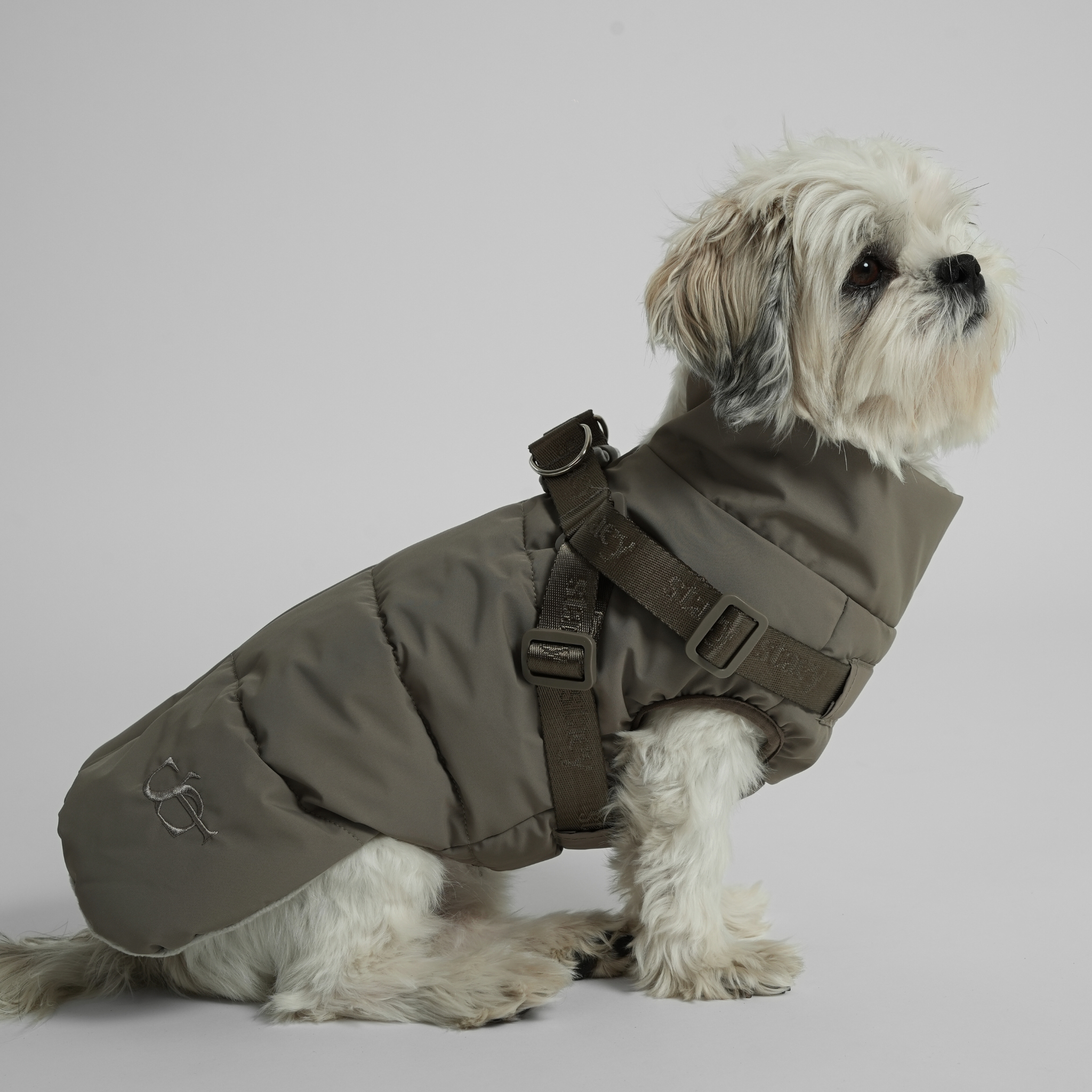Vera - Hundejakke med integrert sele | Sage