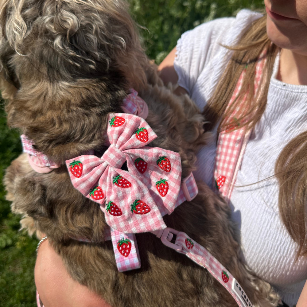 Strawberry Picnic Sailor Bow Tie - Hundesløyfe