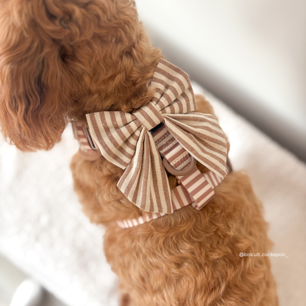 London Linen Stripes Sailor Bow Tie - Hundesløyfe