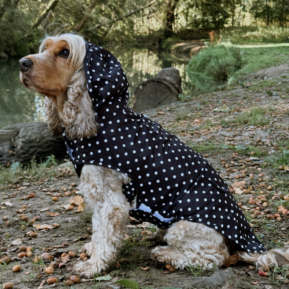 Black Polka Dot - Regnjakke til hund