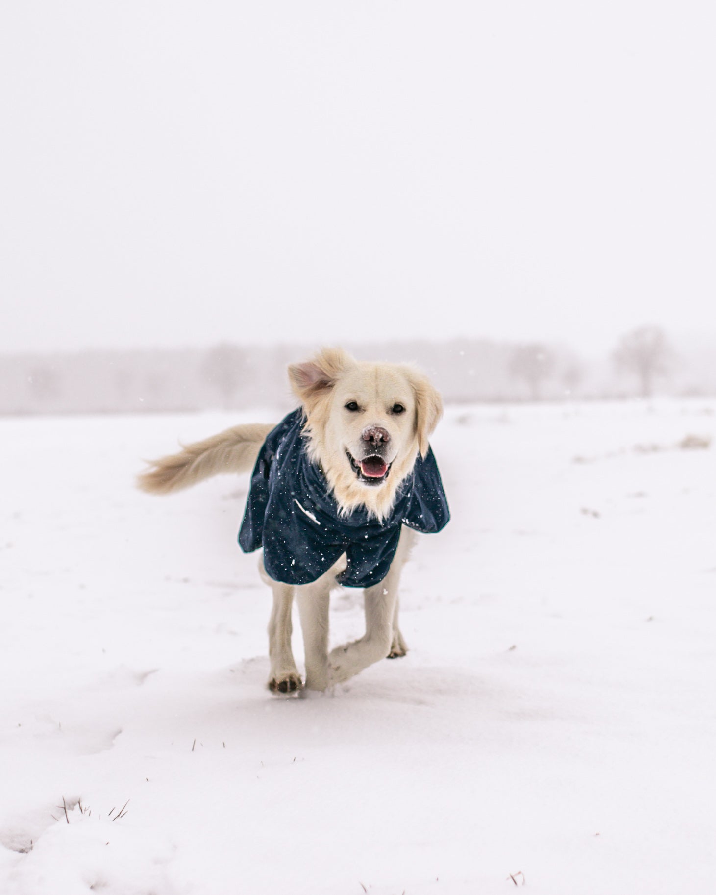 Glacier Wool Jacket 2.0 - Allsidig vinterdekken m/Ulvang, Marine Blå