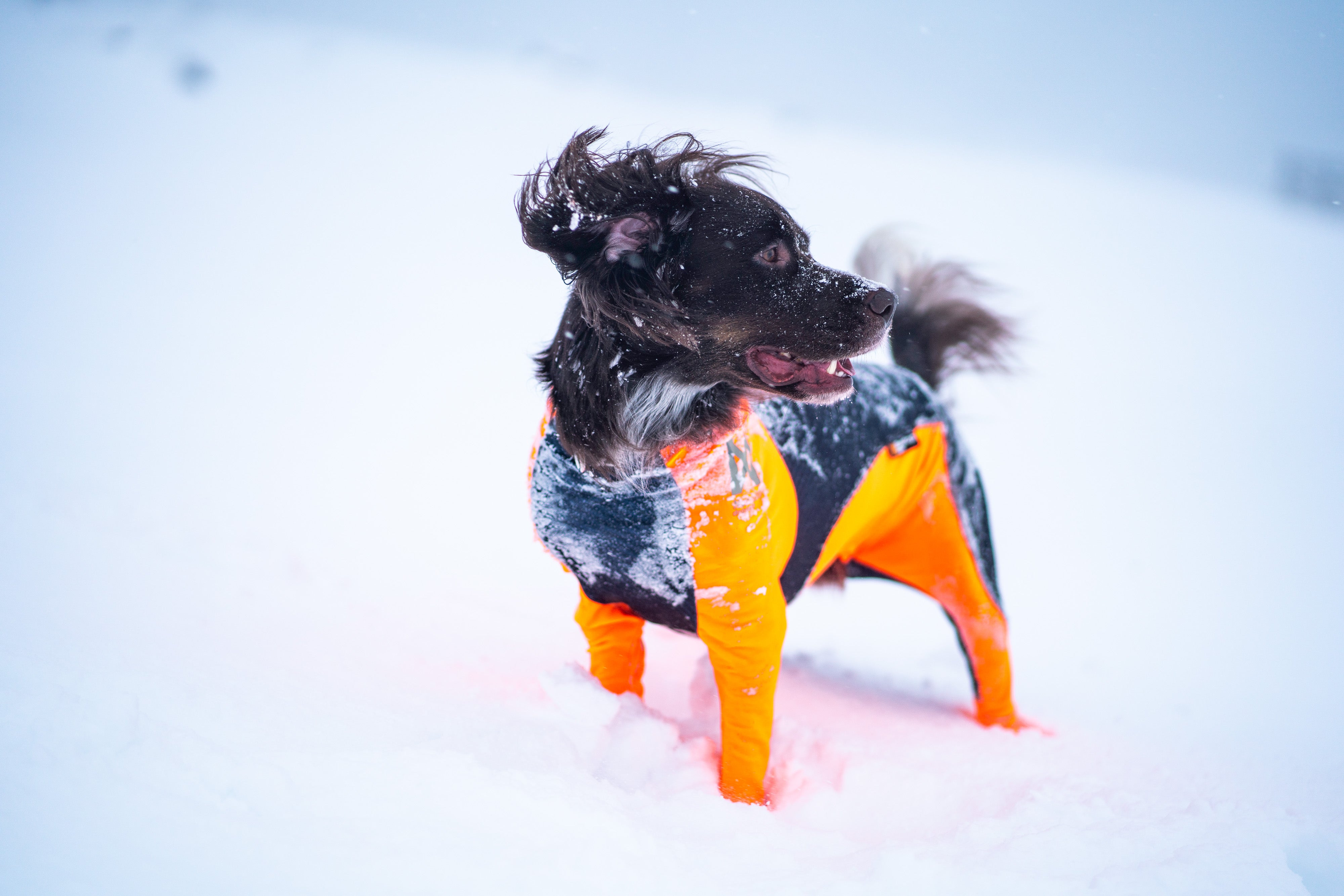Protector snow - Heldress mot snø, is, kulde og vind