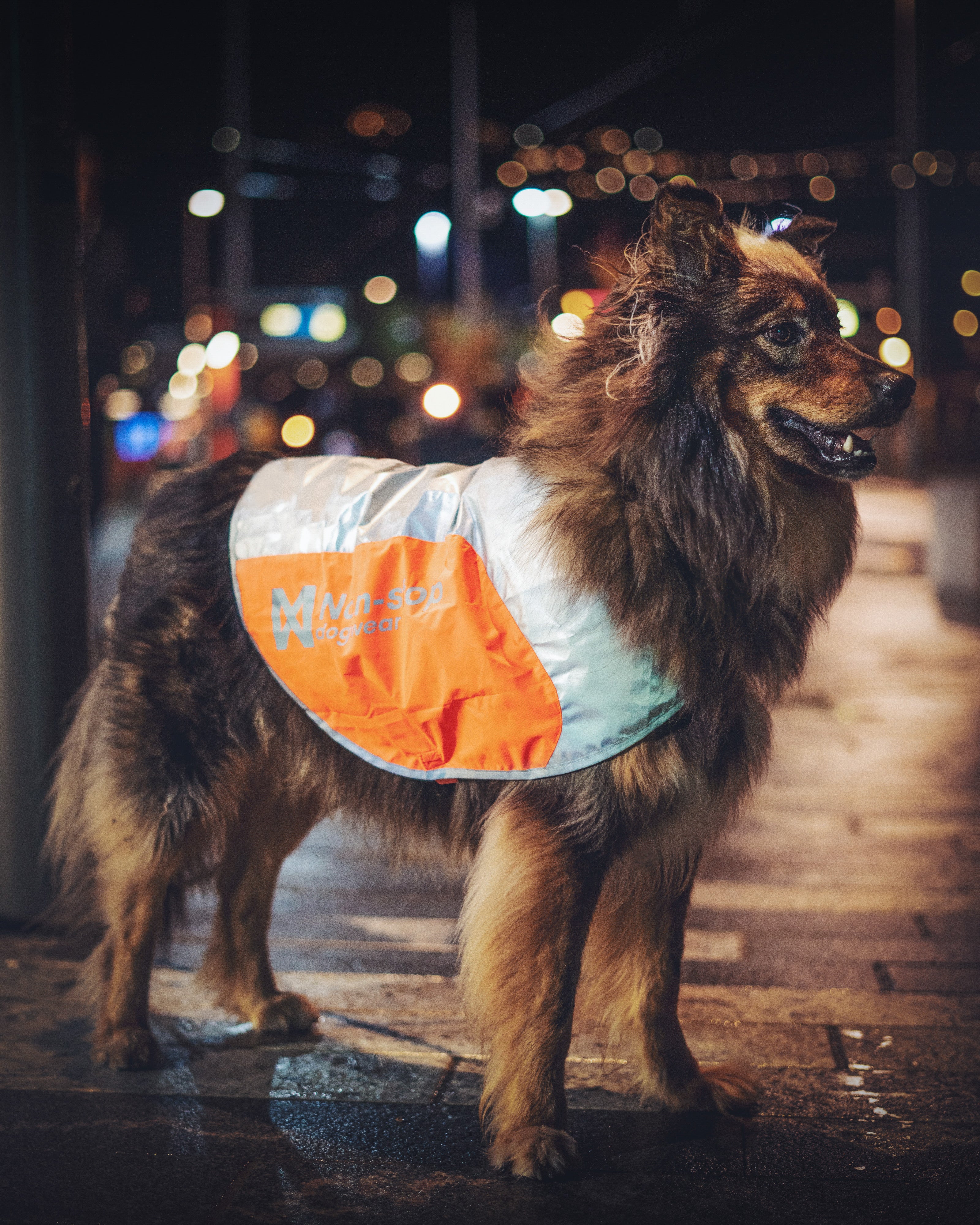 Reflection Blanket - Refleksvest for optimal synlighet