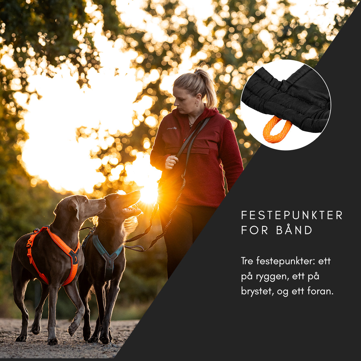 Line Harness 5.0 - Allsidig trekksele, Lilla