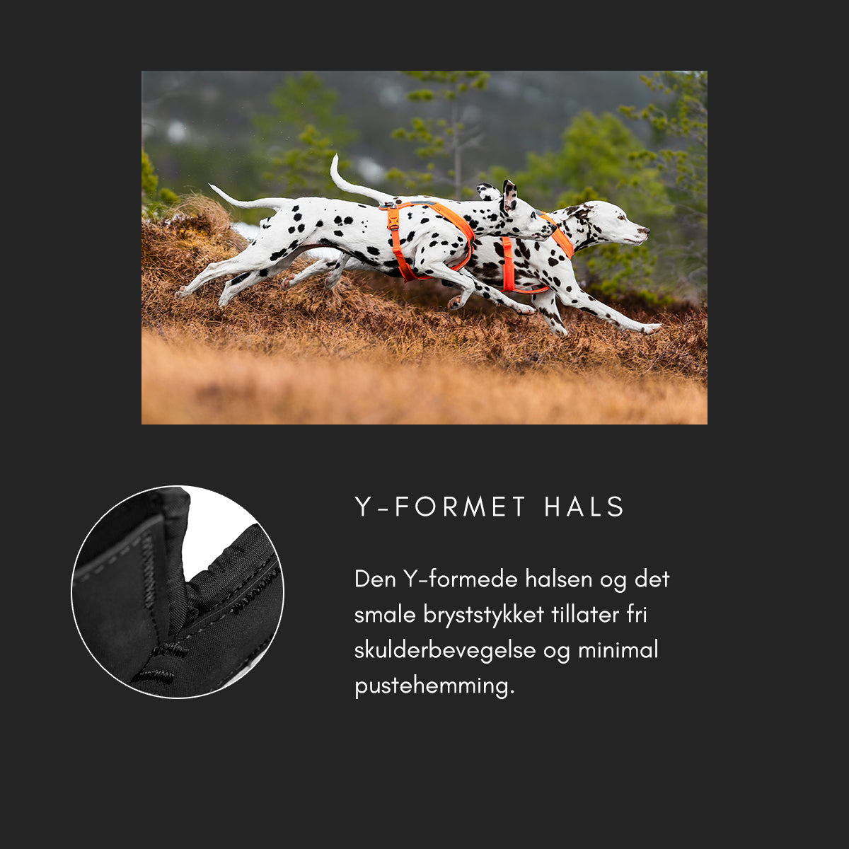 Line Harness 5.0 - Allsidig trekksele, Lilla