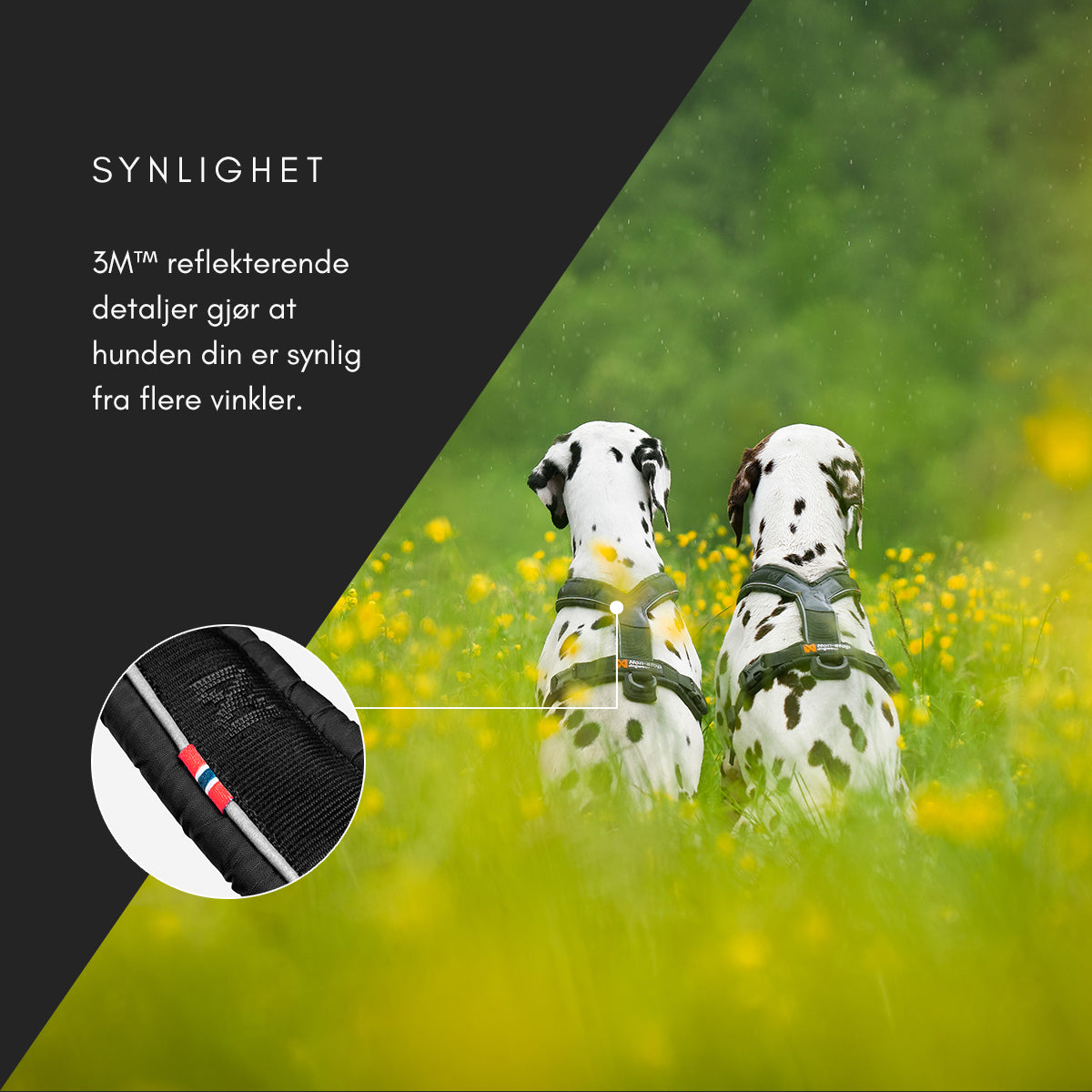 Line Harness 5.0 - Allsidig trekksele, Lilla
