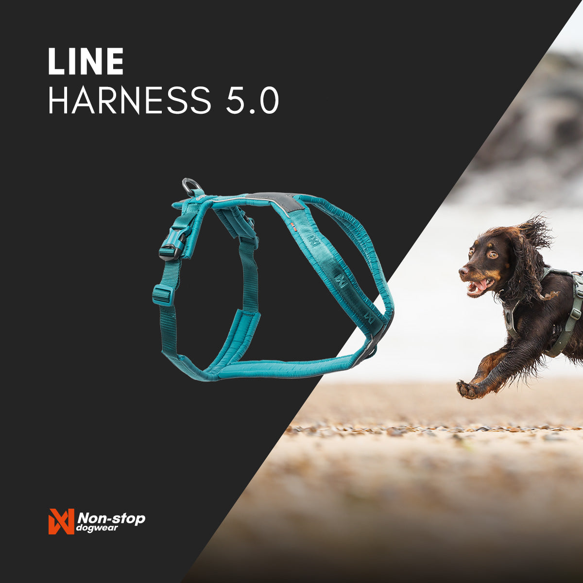 Line Harness 5.0 - Ergonomisk hundesele | Blå