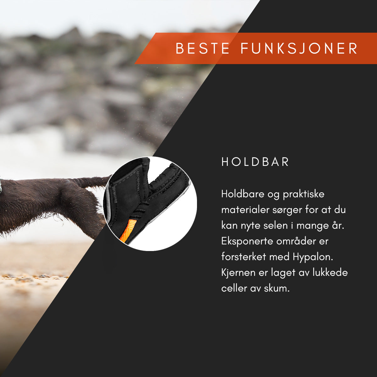 Line Harness 5.0 - Allsidig trekksele, Lilla