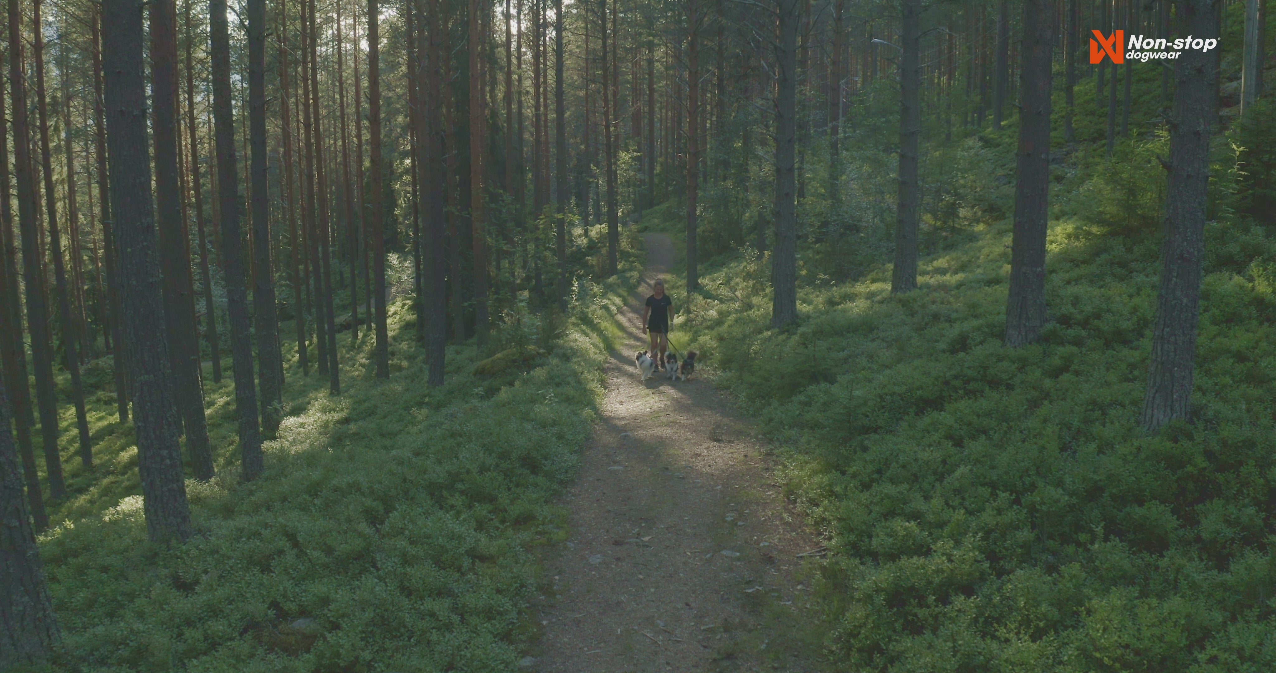 Line Harness 5.0 - Allsidig trekksele, Lilla