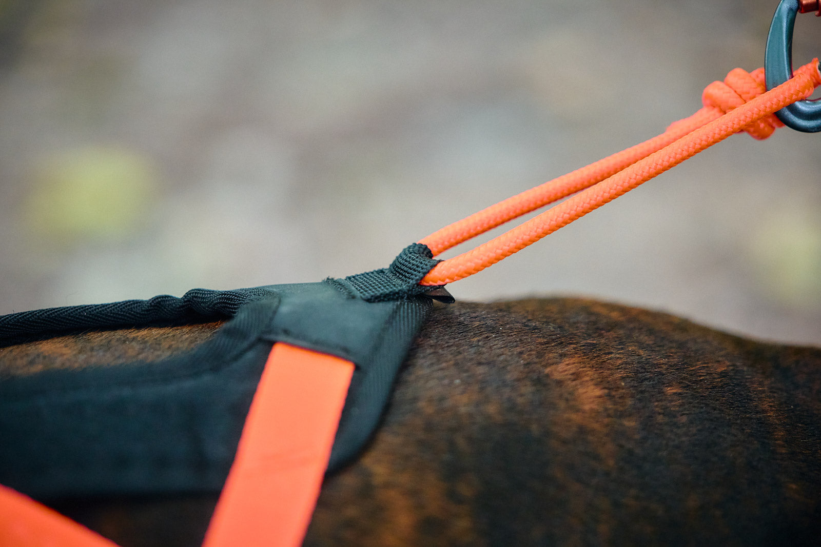 Rush harness - Allsidig og komfortabel trekksele