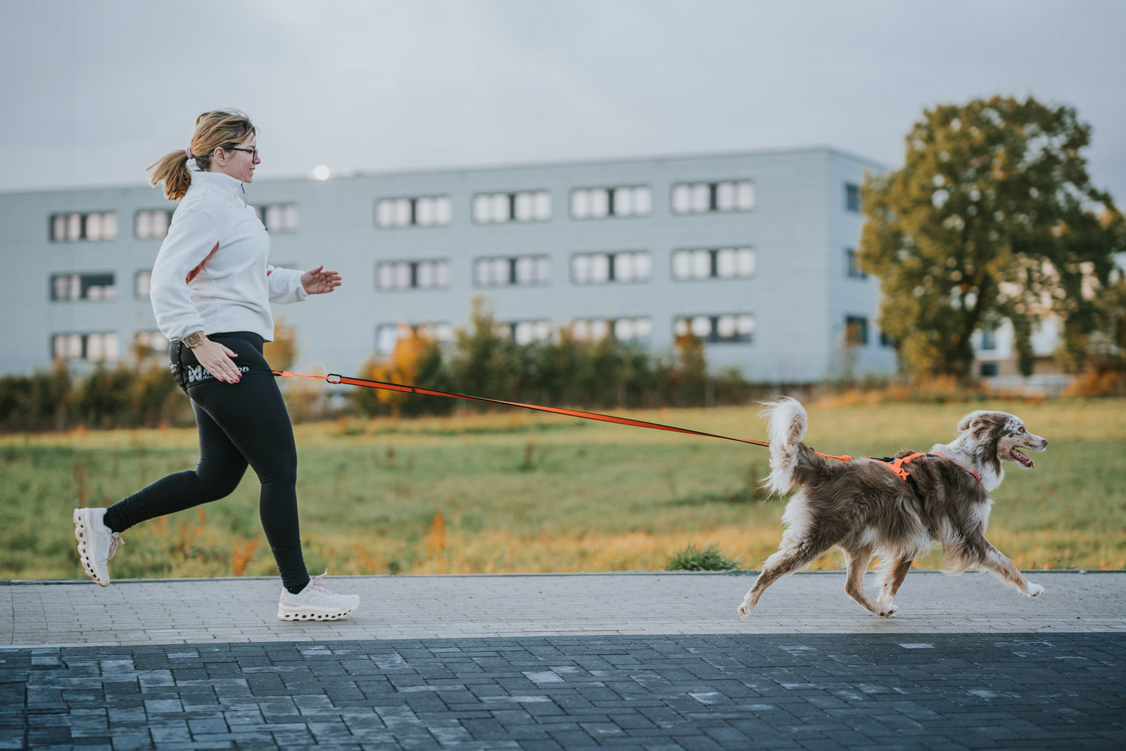 Rush harness - Allsidig og komfortabel trekksele