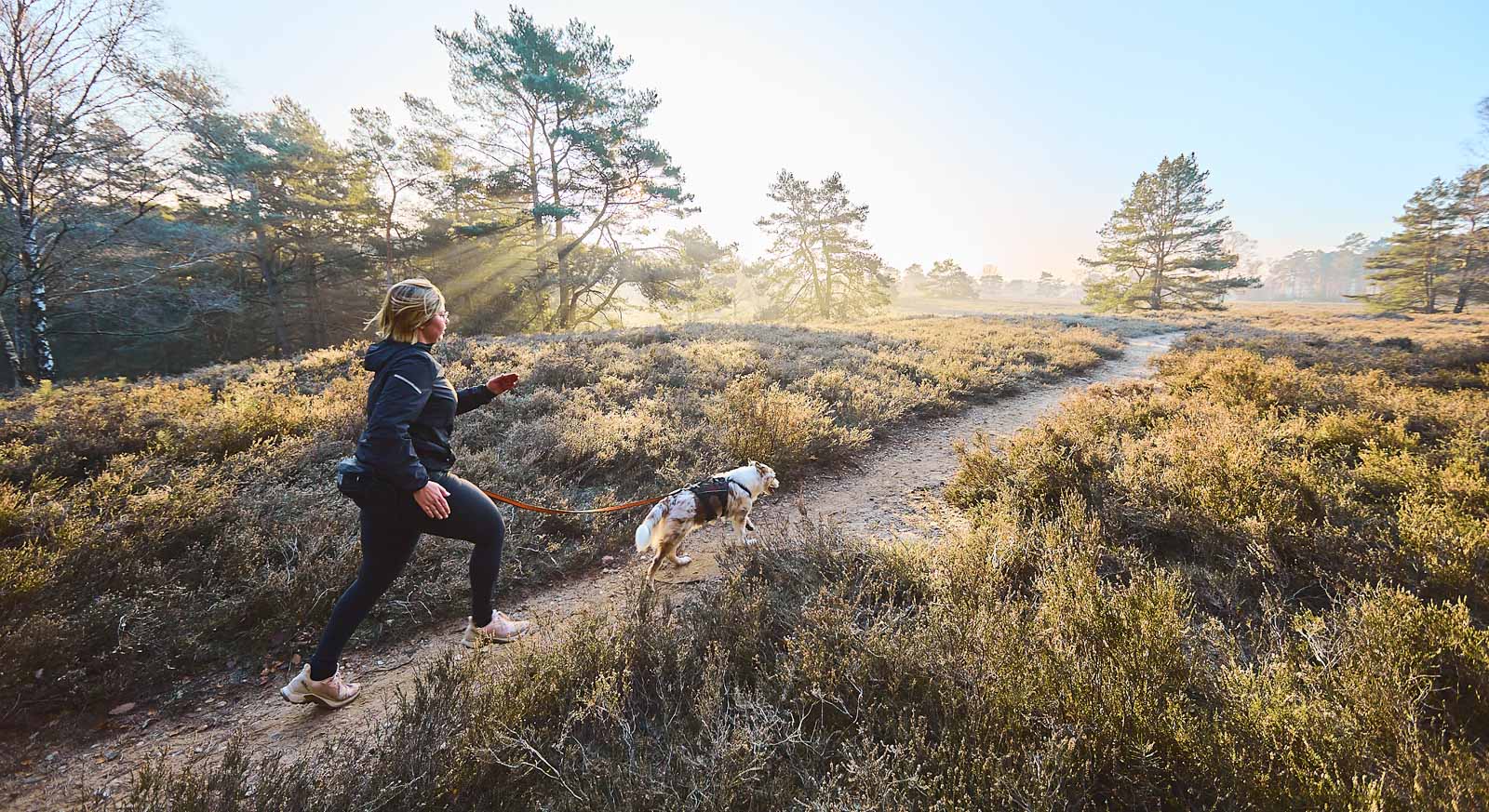 Trail Light Belt - Belte for løping og turgåing