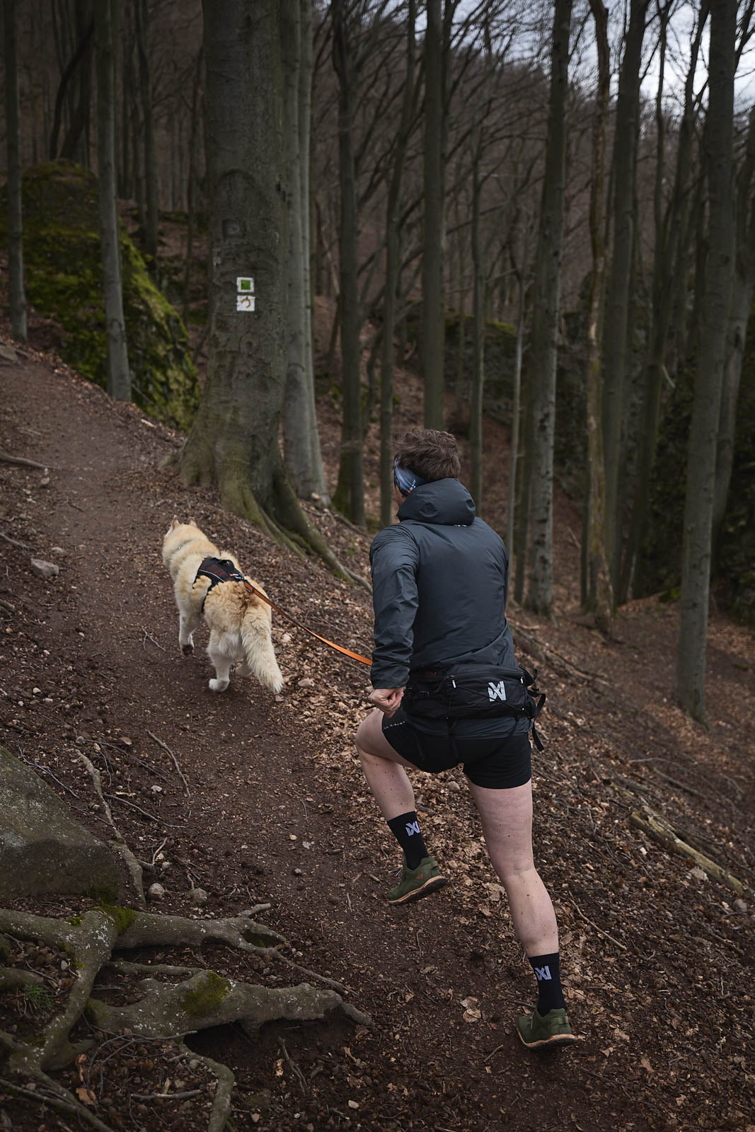 Trail Light Belt - Belte for løping og turgåing