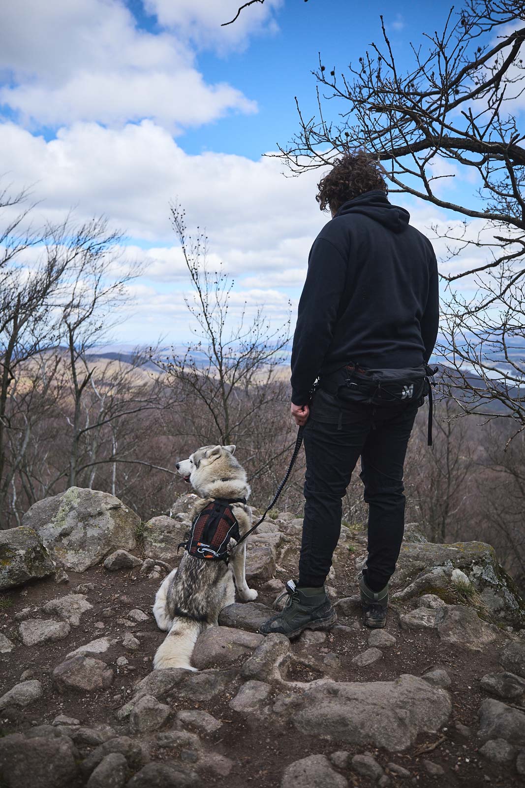 Trail Light Belt - Belte for løping og turgåing