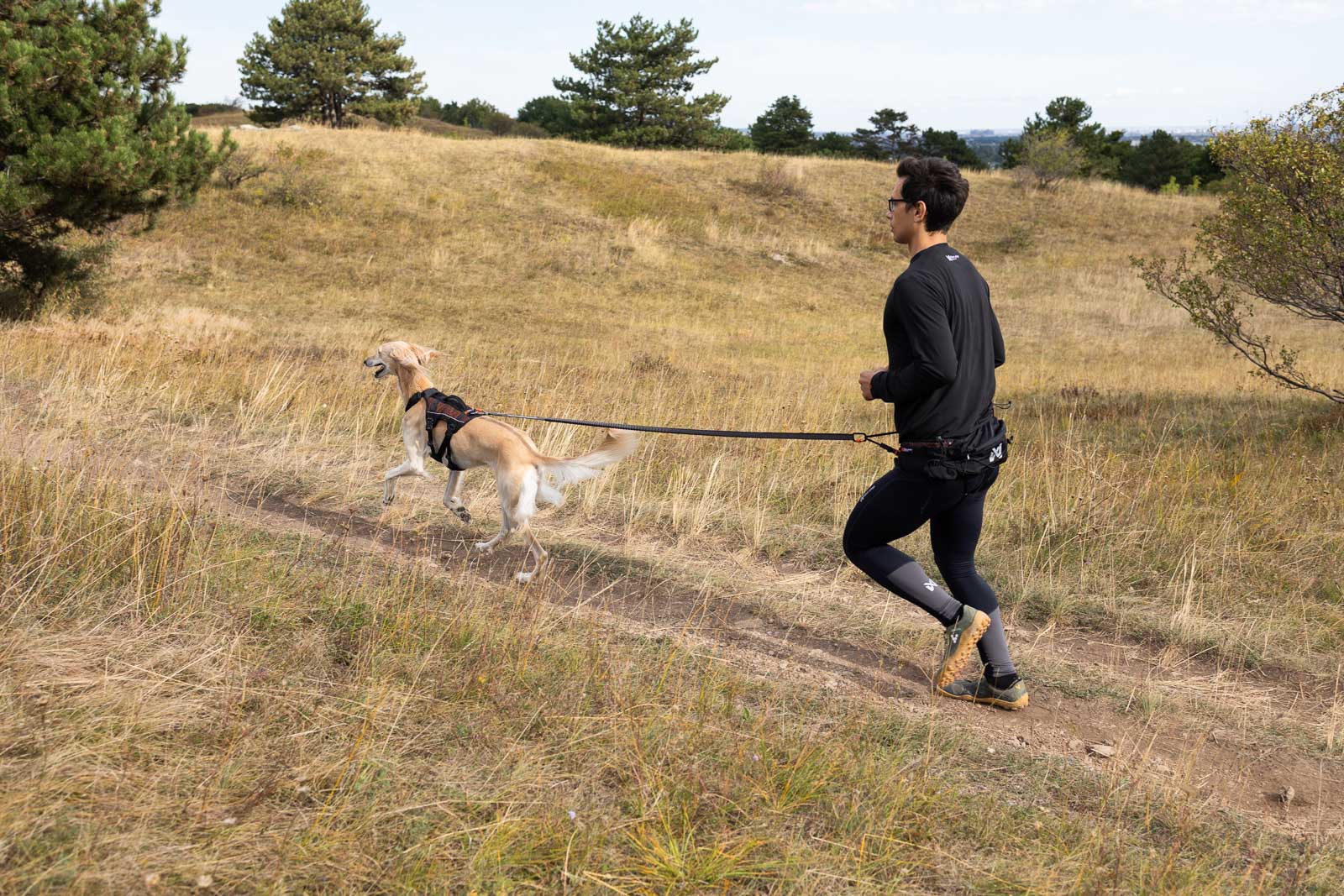 Trail Light Belt - Belte for løping og turgåing