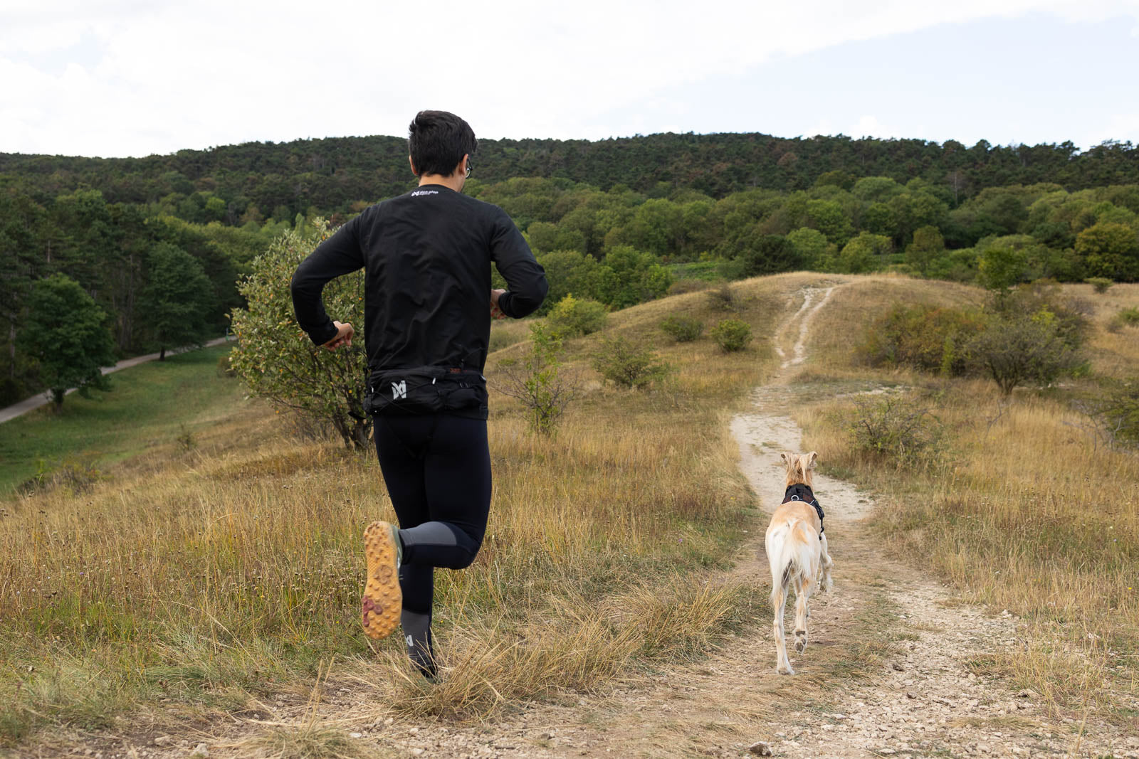Trail Light Belt - Belte for løping og turgåing